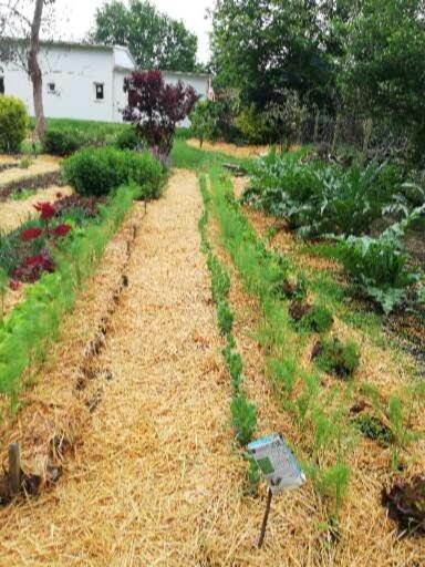 Vila Au Coeur Du Jardin La Boussac Exteriér fotografie