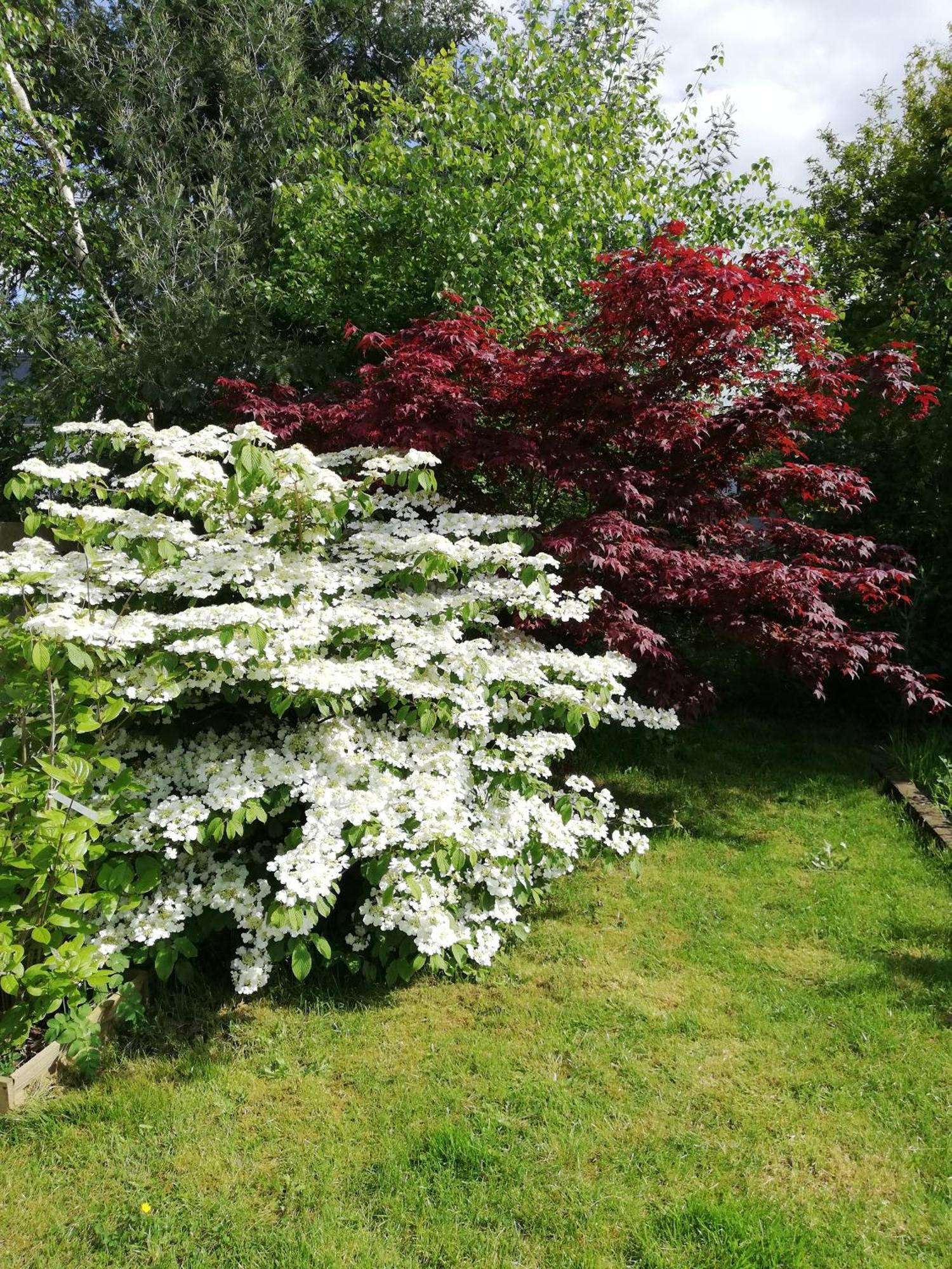 Vila Au Coeur Du Jardin La Boussac Exteriér fotografie