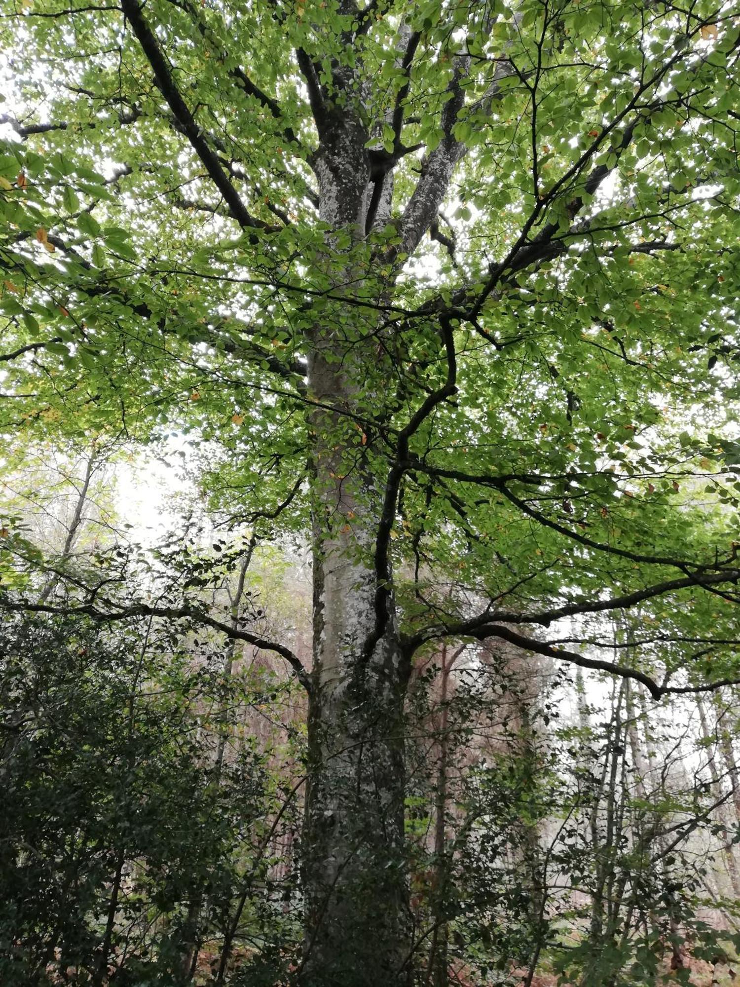Vila Au Coeur Du Jardin La Boussac Exteriér fotografie